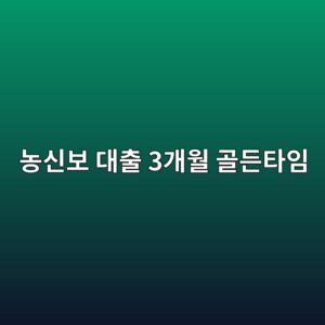 연체 발생부터 채권 이관까지, 농신보 대출의 3개월 골든타임 9 농신보